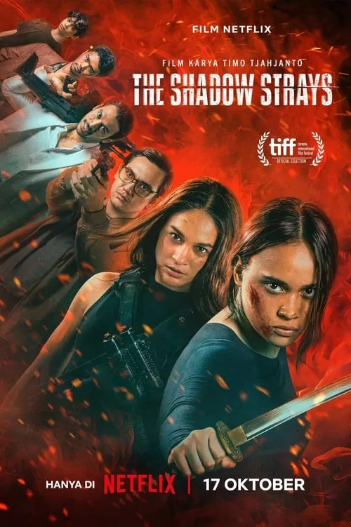 The Shadow Strays / Бездомни сенки