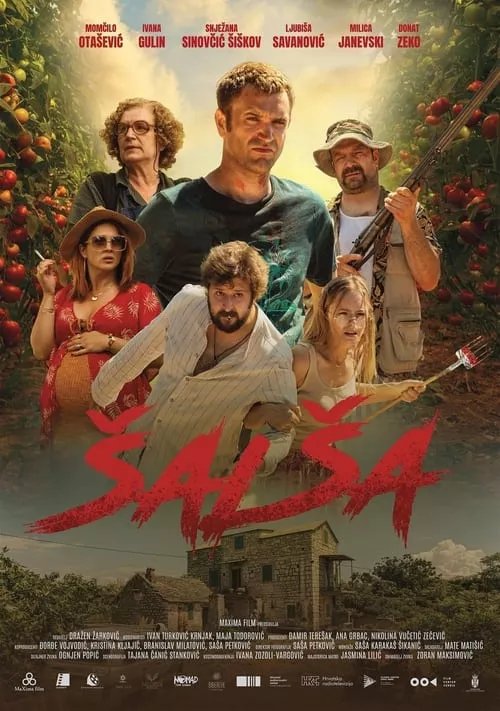 Salsa / Салца